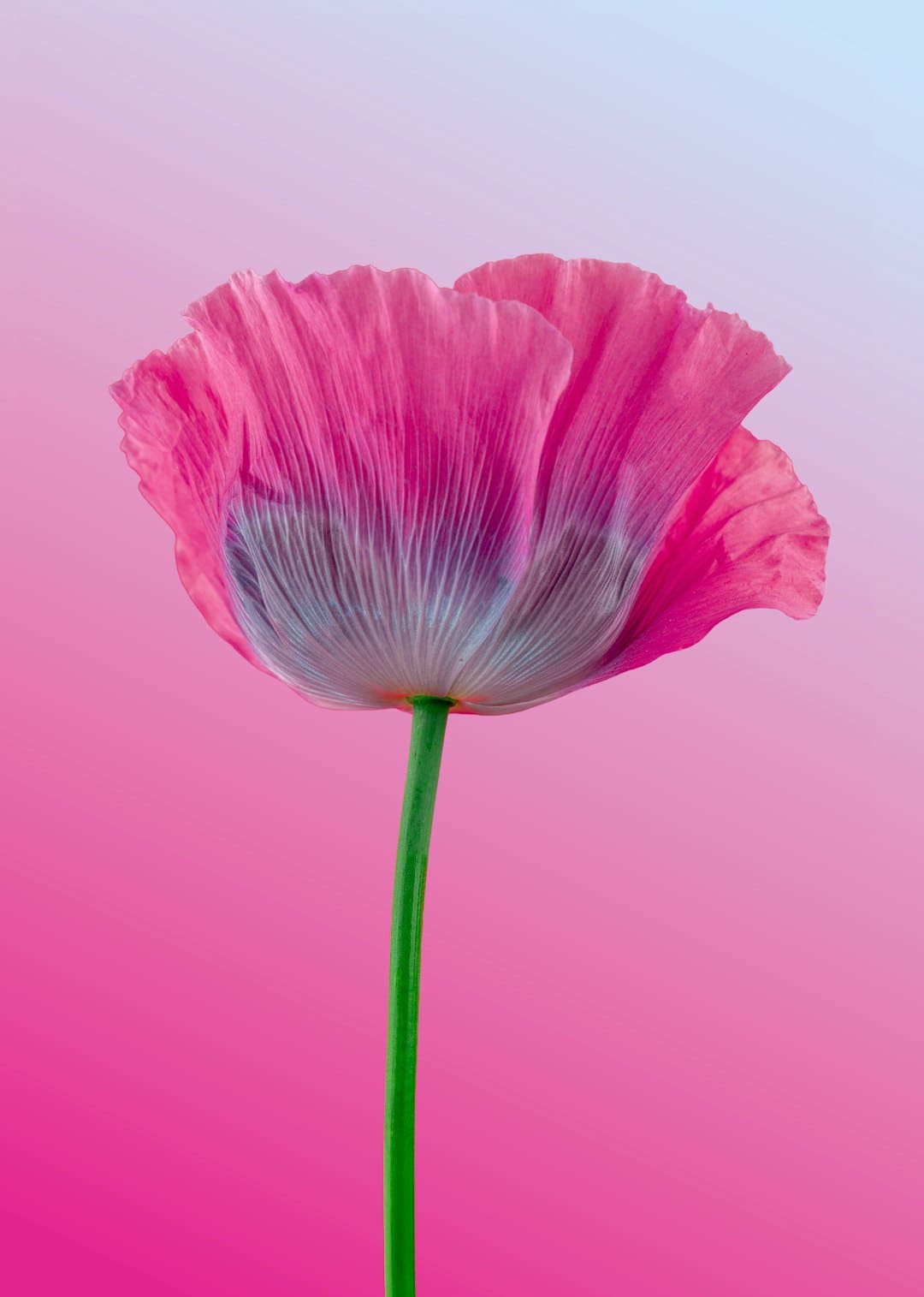 商业头条No.90